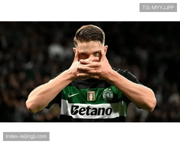 哲凯赖什射门区域分布合理 阿森纳锋线攻击手段呈现立体化特征